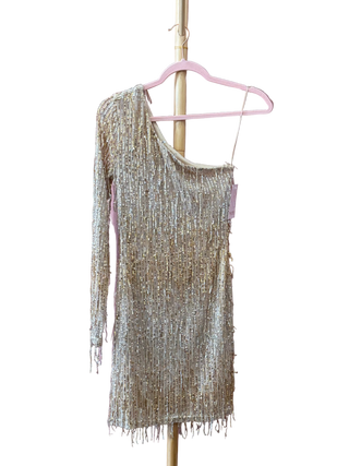 Gold + Silver Fringe Mini Dress Gold + Silver Fringe Mini Dress