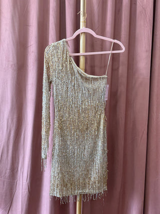 Gold + Silver Fringe Mini Dress