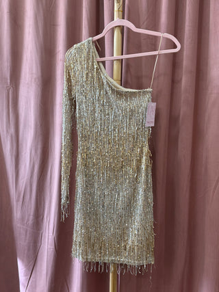 Gold + Silver Fringe Mini Dress
